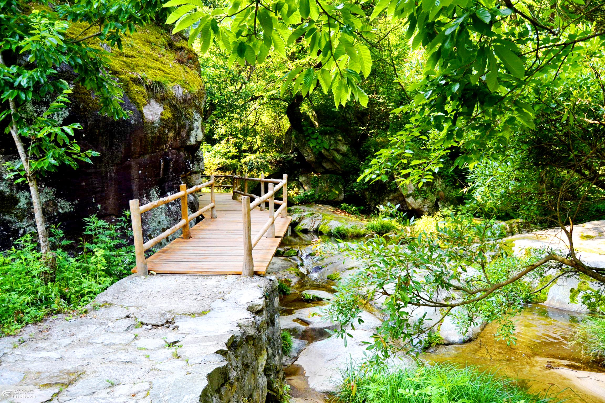 宁陕苍龙峡桃源蝴蝶谷