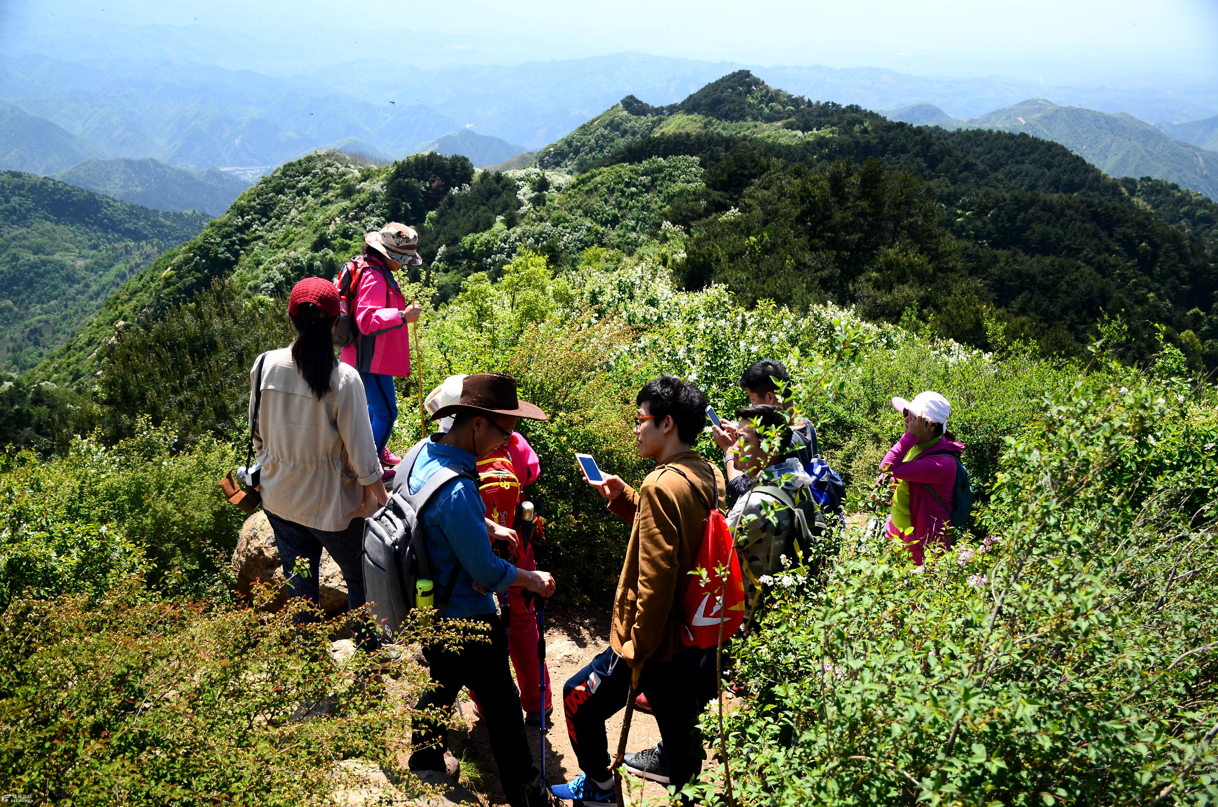 青春户外422周六赏白鹃梅蓝关古道虎头山徒步穿越活动