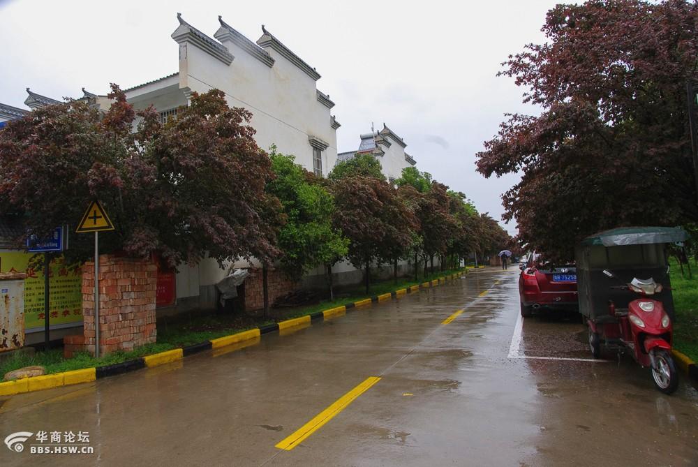 走进户县李家岩村寻访农民画画家仝延魁