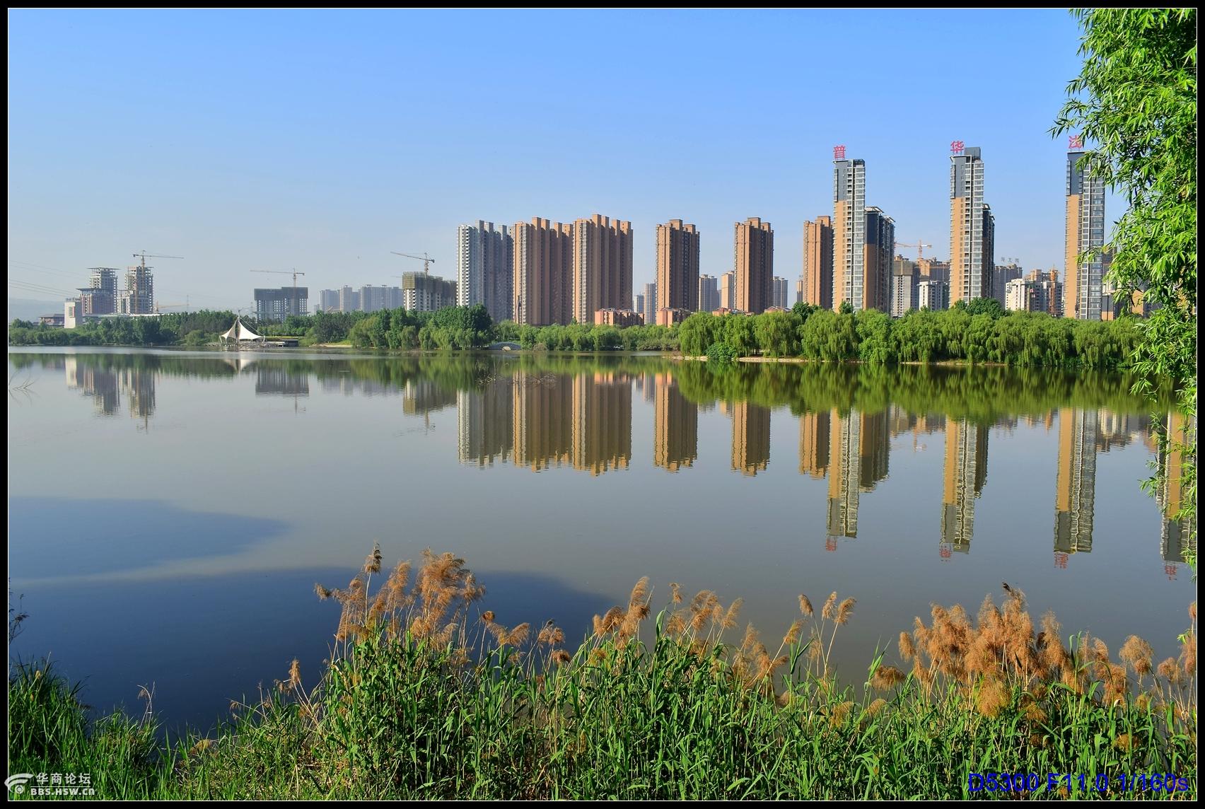 春天的浐灞湿地