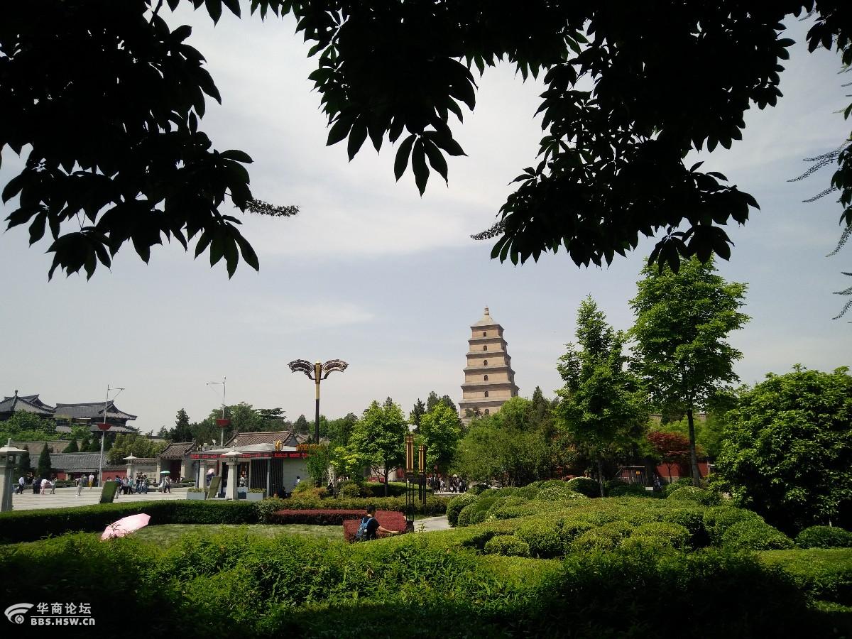 手机带你走进大雁塔