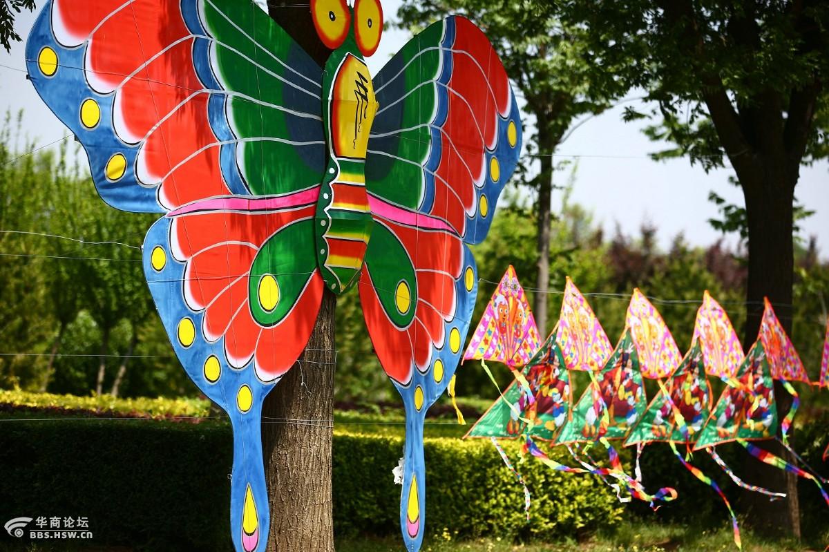 潼关风筝节撷拍