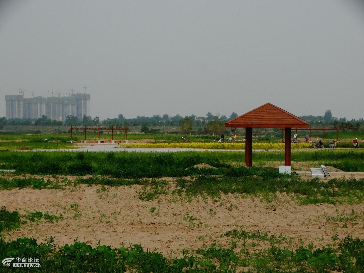 正建的涝渭湿地公园 坐船渡渭顺游宏兴码头