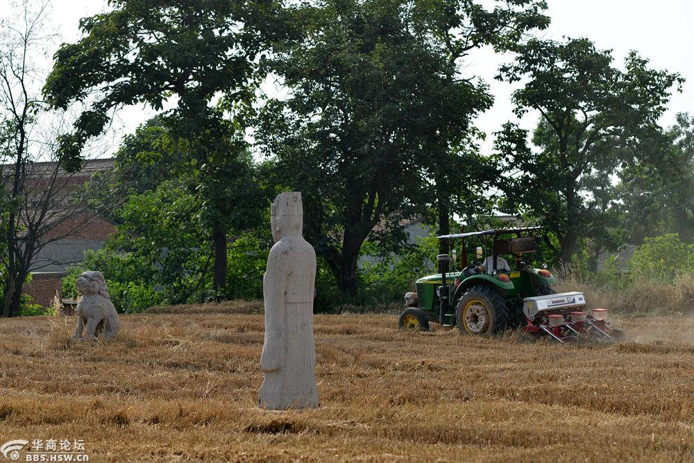 田野里的明代文物大明康王陵