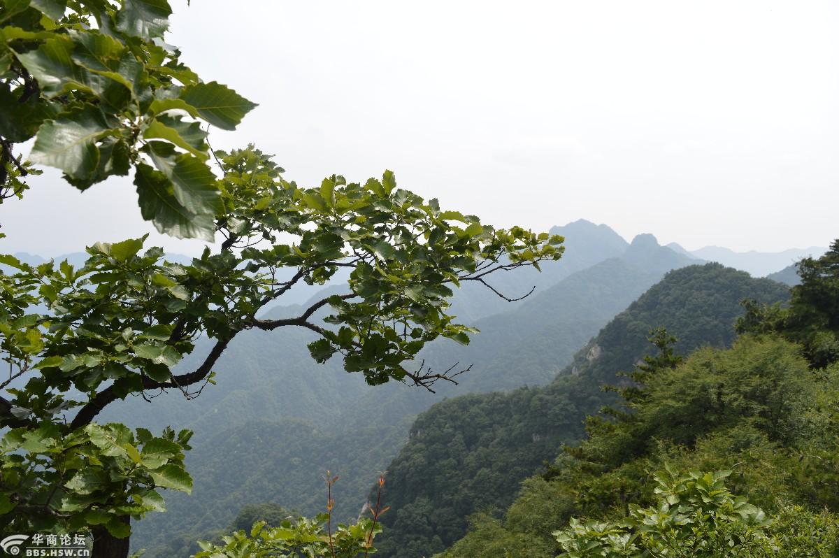 主题:潼峪 佛头崖
