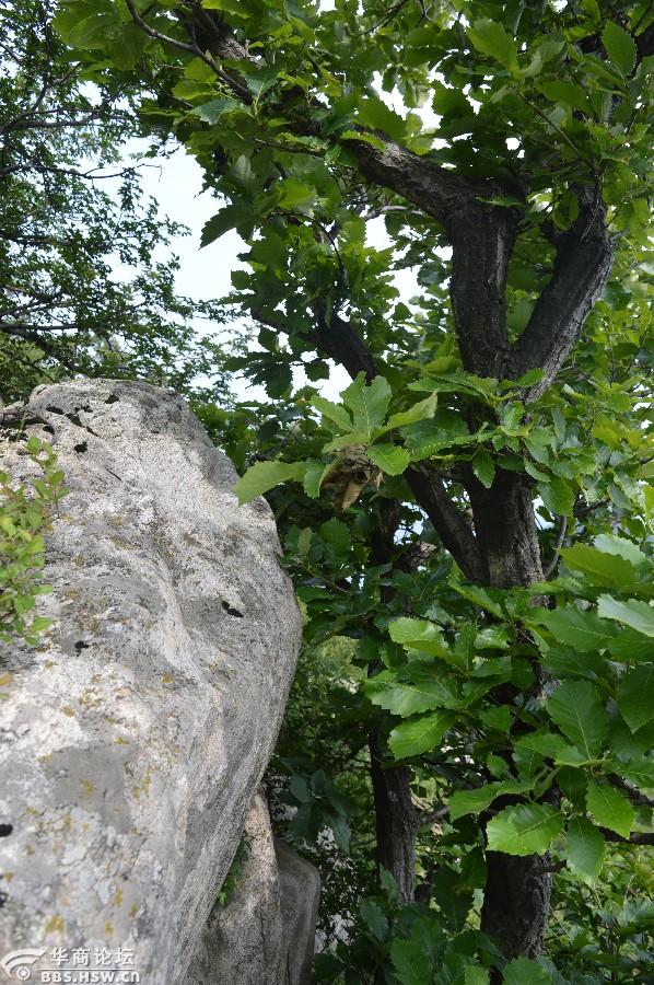 主题:潼峪 佛头崖