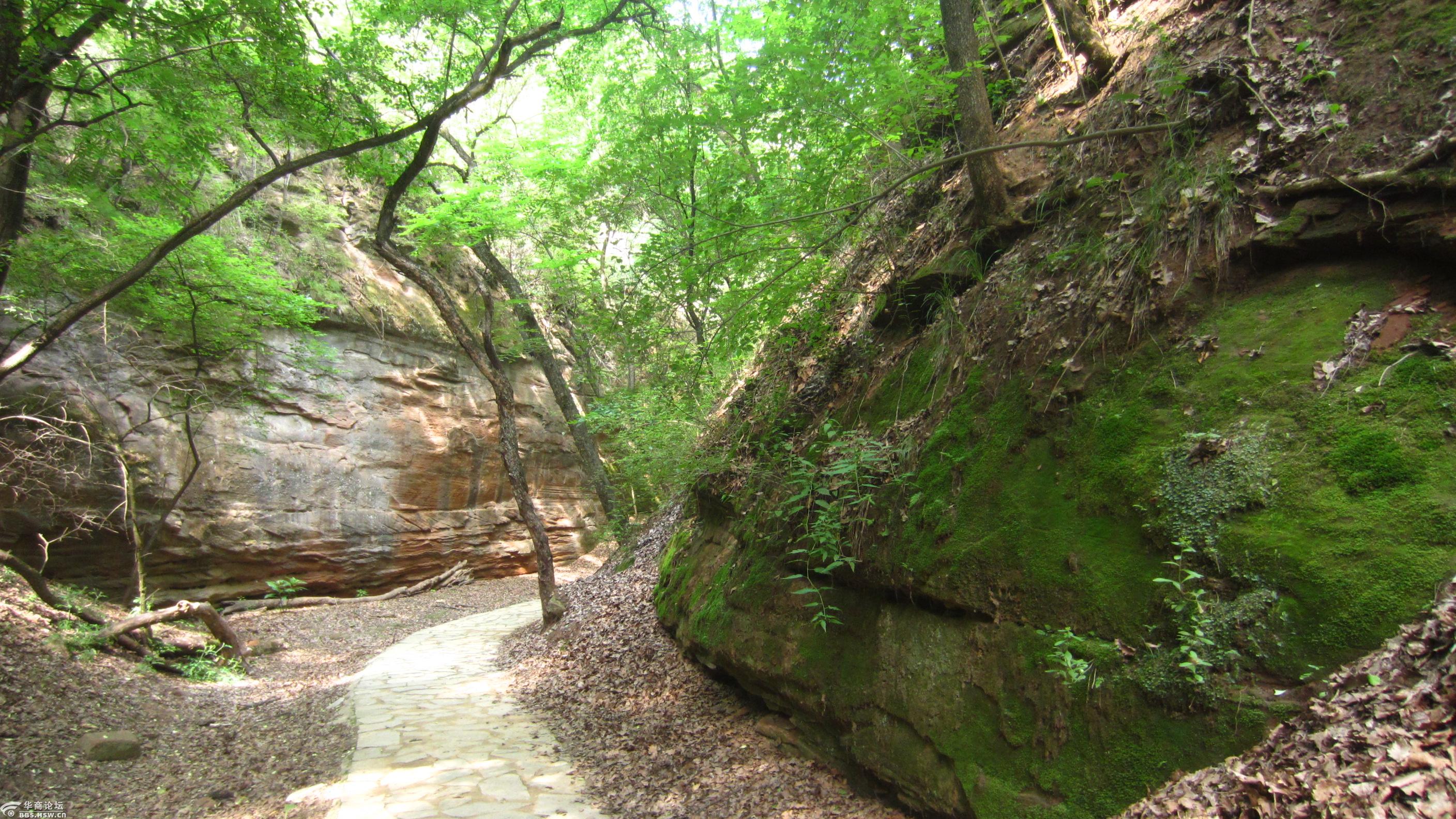 年票游甘泉劳山国家森林公园