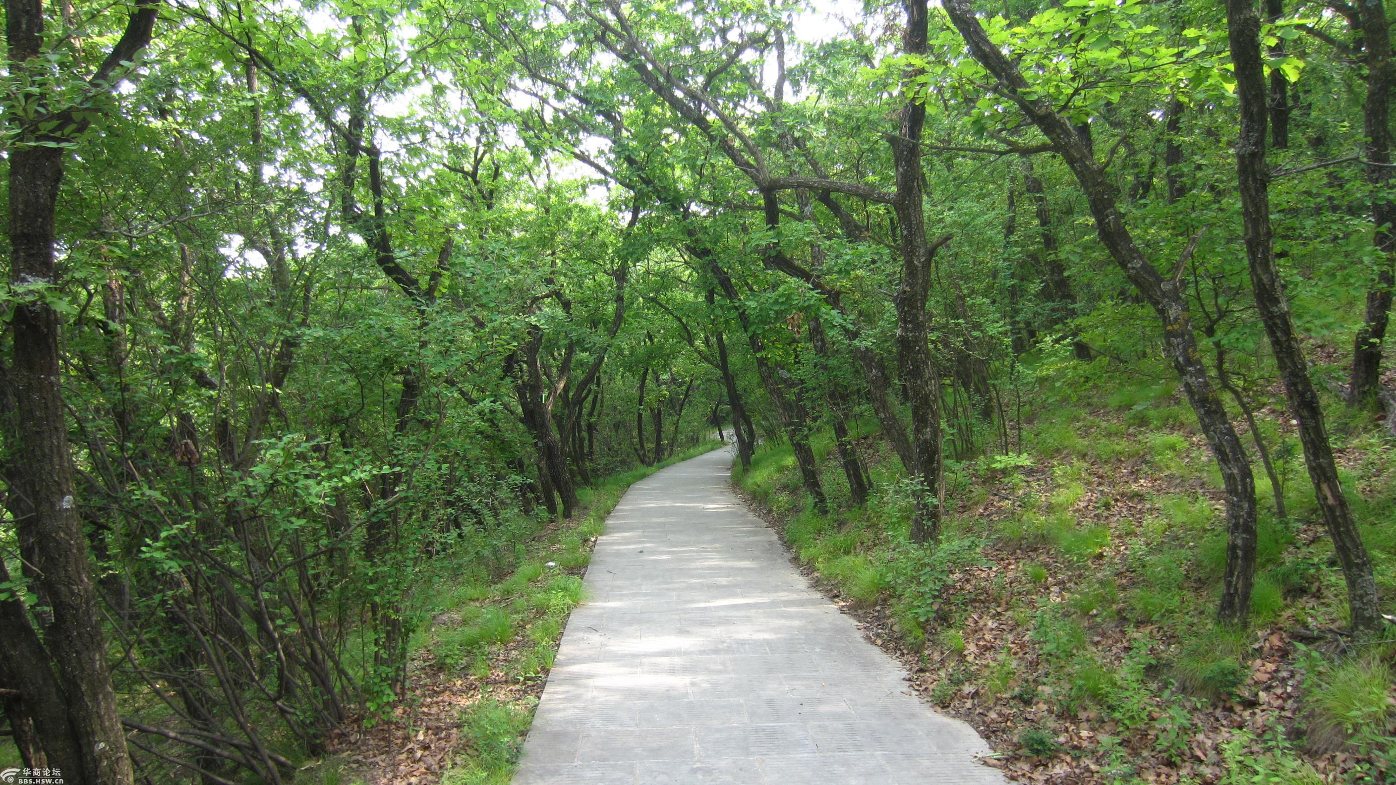 年票游甘泉劳山国家森林公园