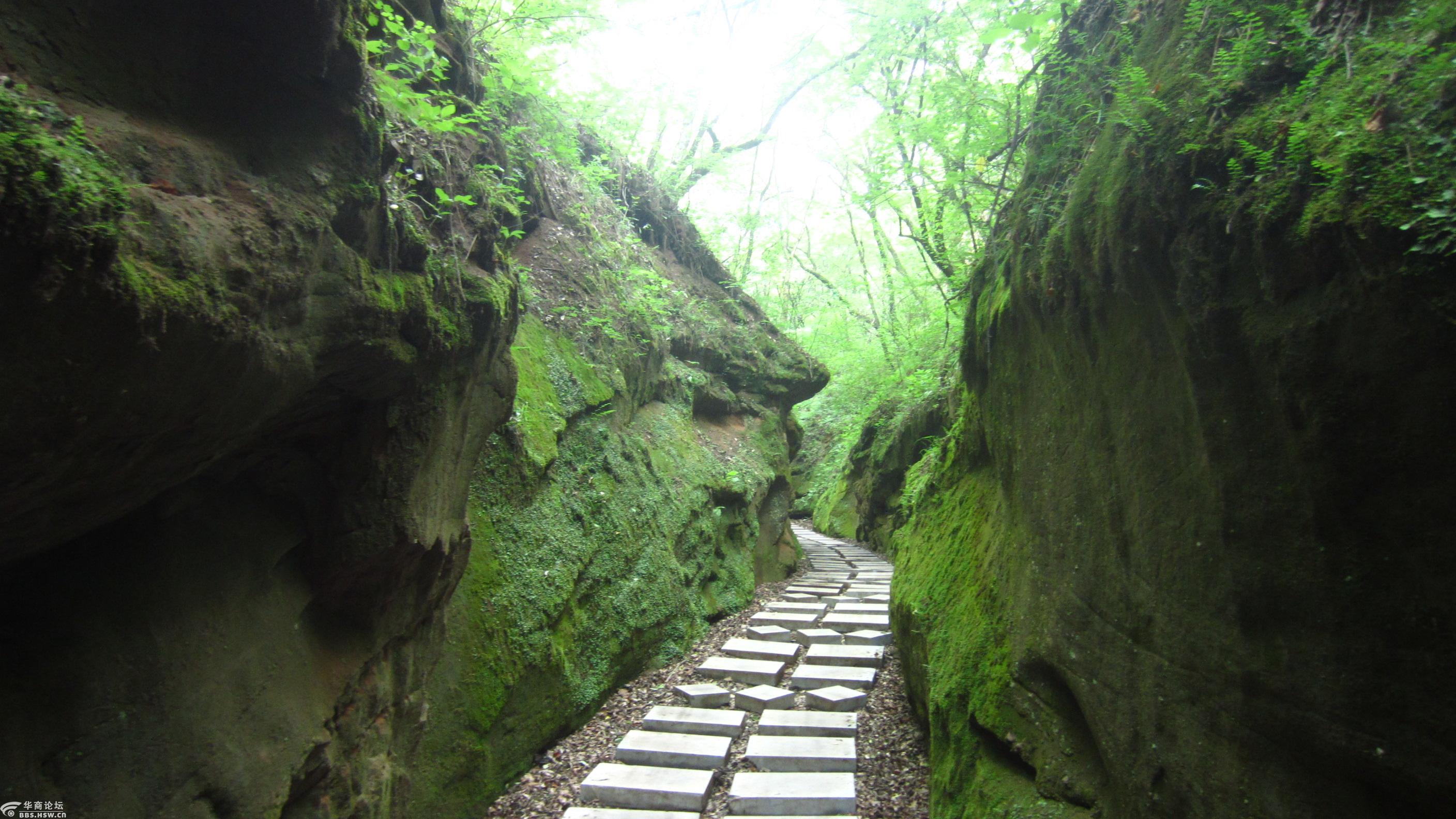 年票游甘泉劳山国家森林公园