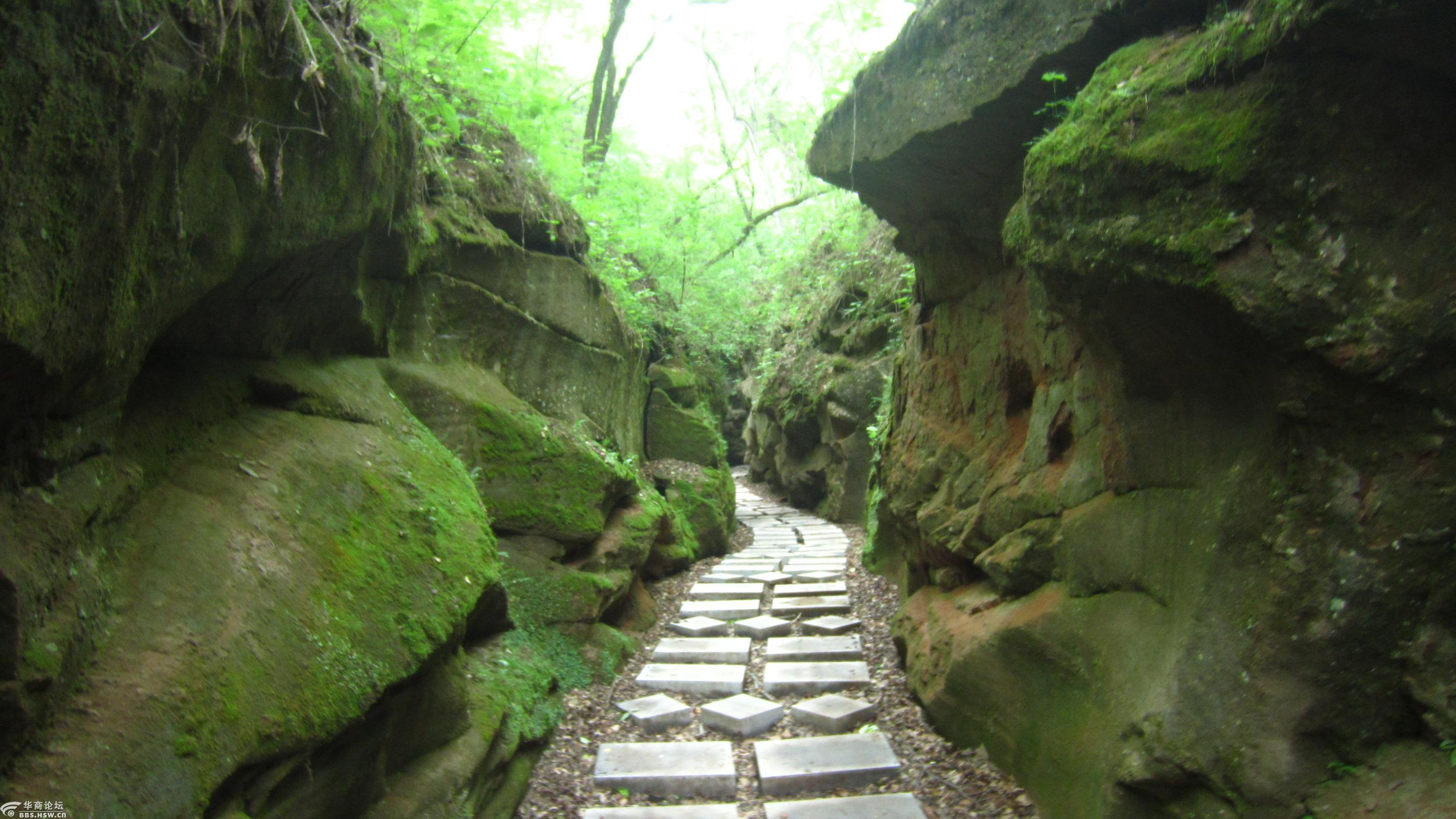 年票游甘泉劳山国家森林公园