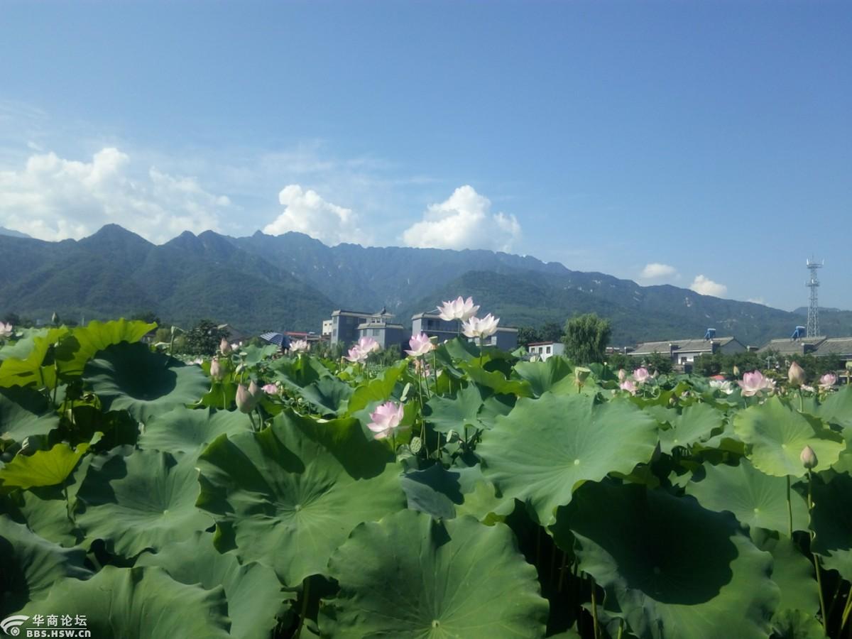 主题:夏热青龙行,单车桃荷山