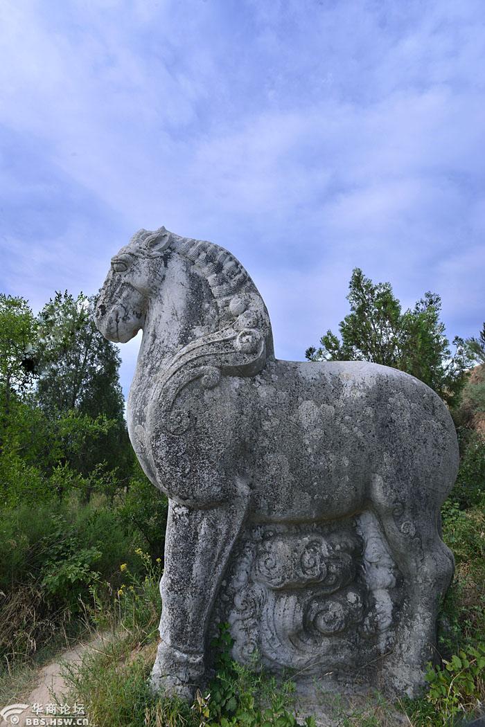 【随拍之一】唐肃宗建陵神道东侧石刻石人石马
