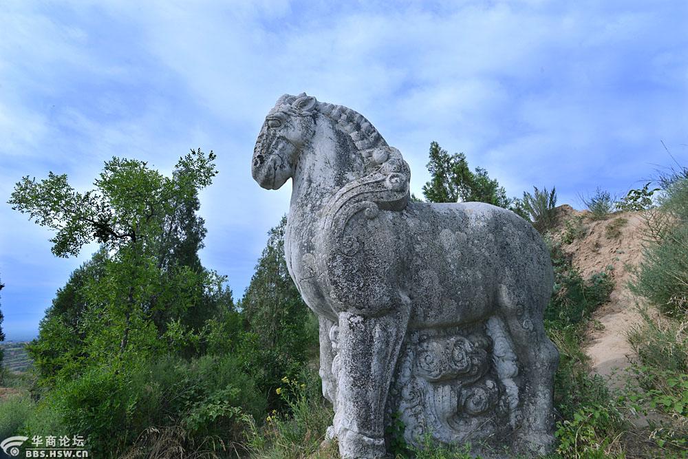 【随拍之一】唐肃宗建陵神道东侧石刻石人石马