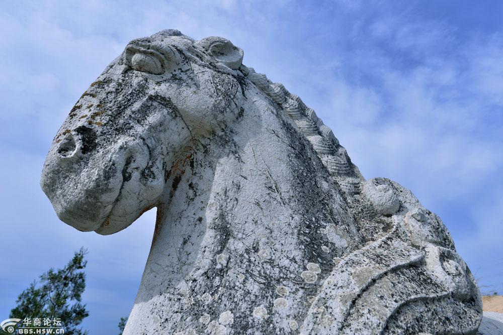 随拍之一唐肃宗建陵神道东侧石刻石人石马