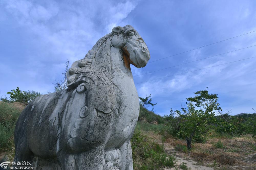 【随拍之一】唐肃宗建陵神道东侧石刻石人石马