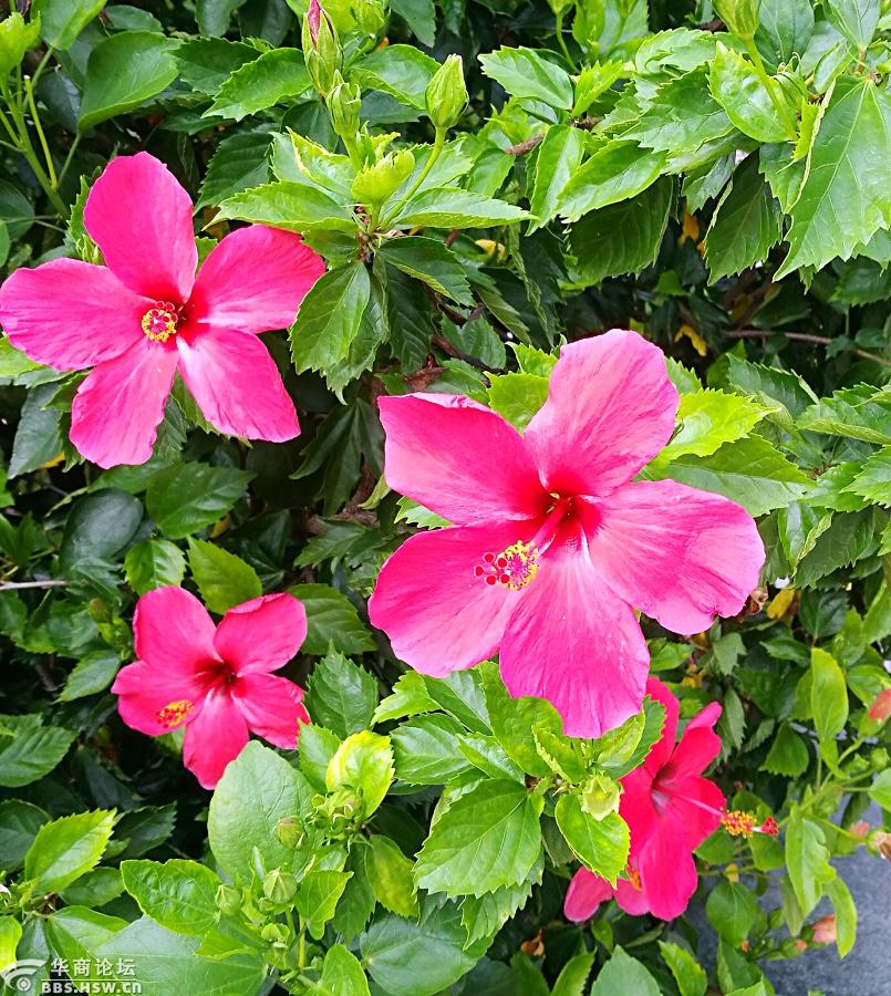 本帖最近评分记录:         条评分      威望  23