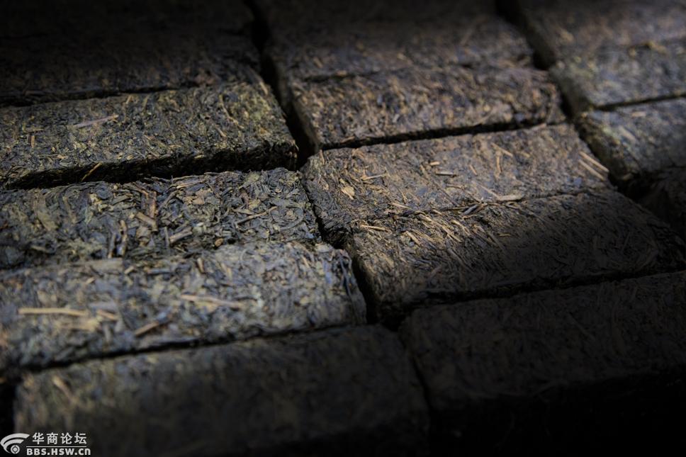 参观根社茯茶博物馆探寻泾阳茯砖茶的制作技艺