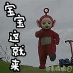 29.gif