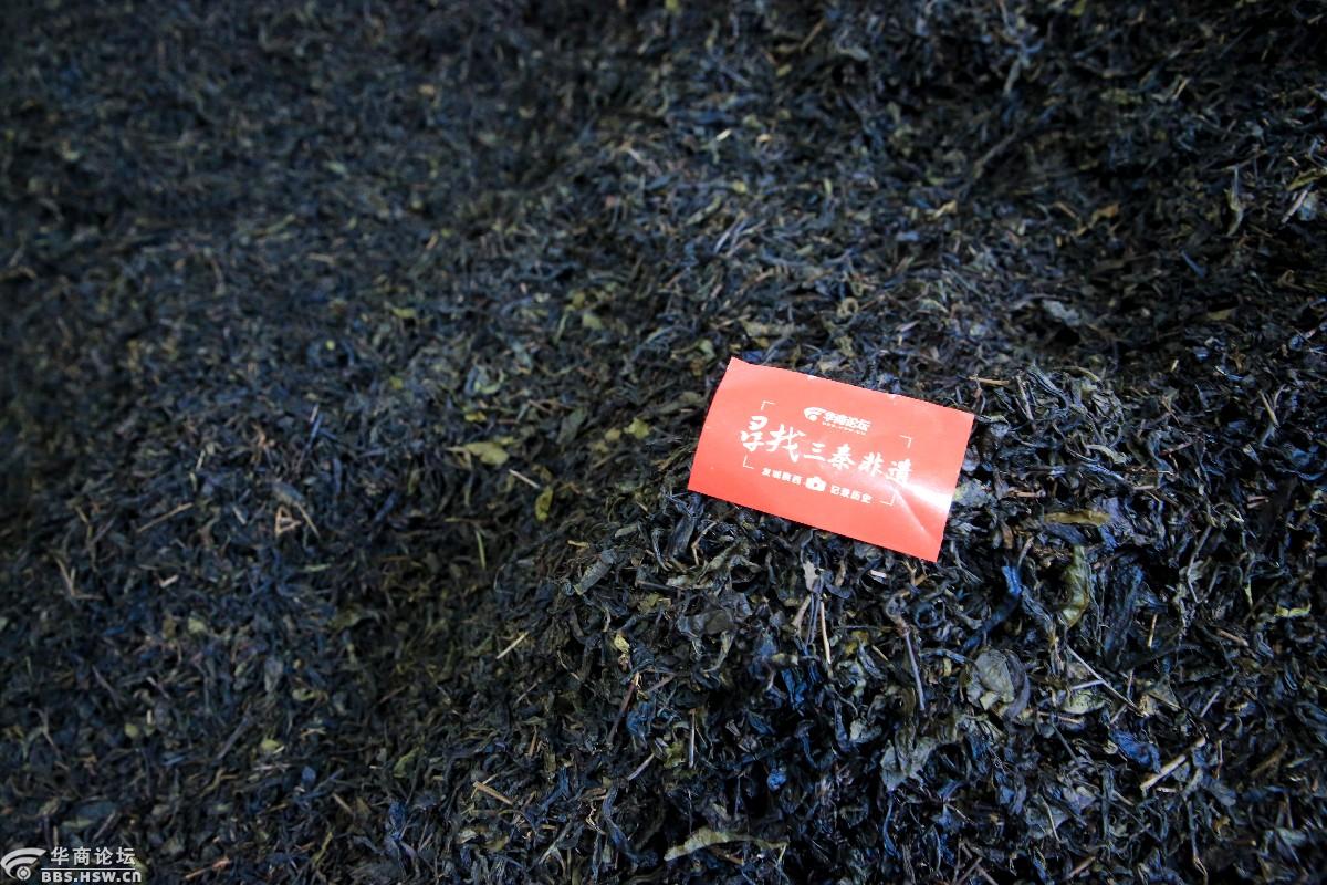 【no44】参观根社茯茶博物馆 探秘茯茶古法工艺的制作过程