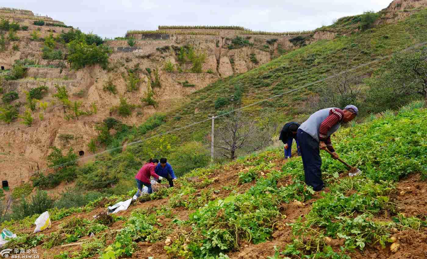 再向陕北行,体验偏远山区农村生活