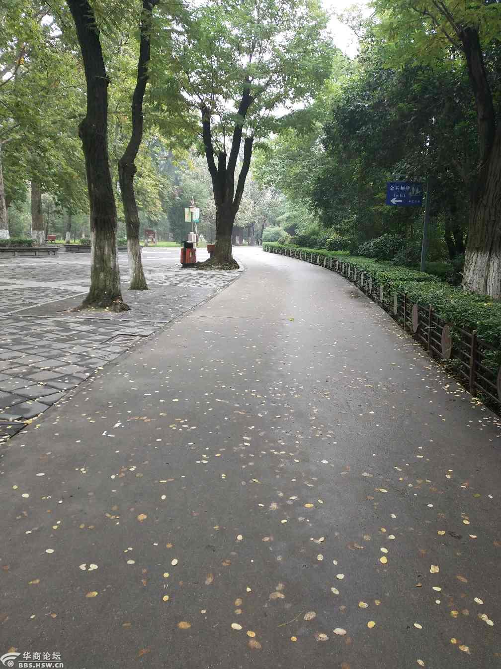 阴天的兴庆宫公园