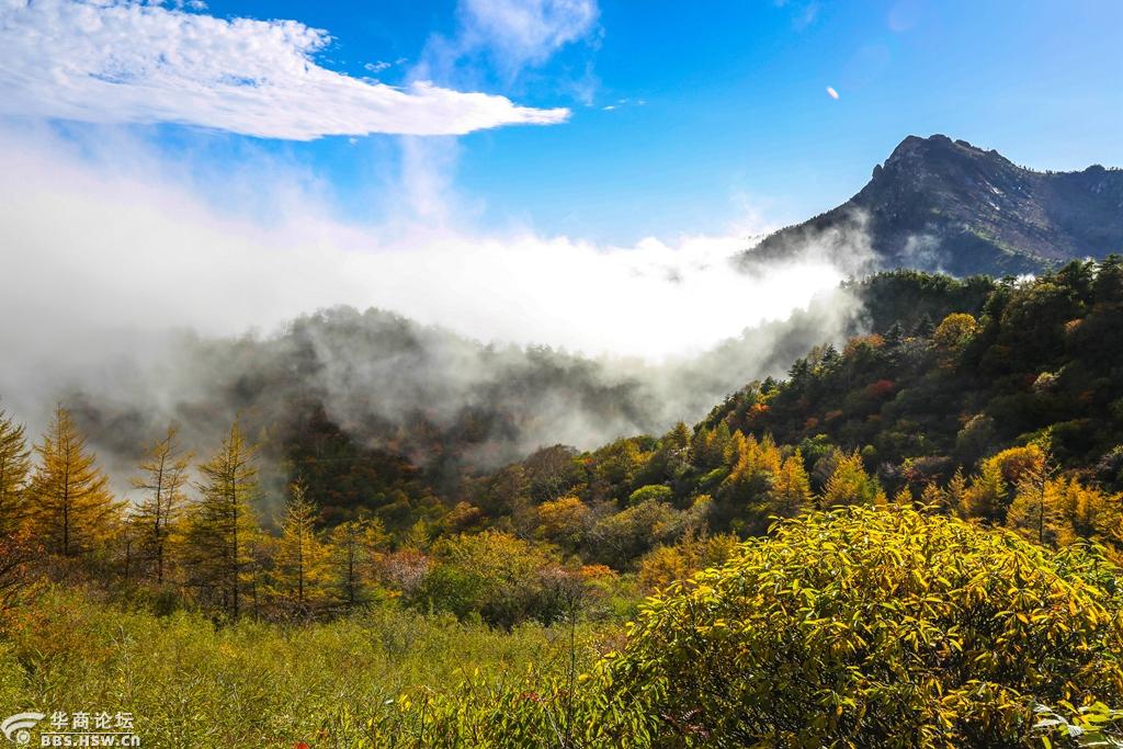 仙境般的秦岭分水岭秋景