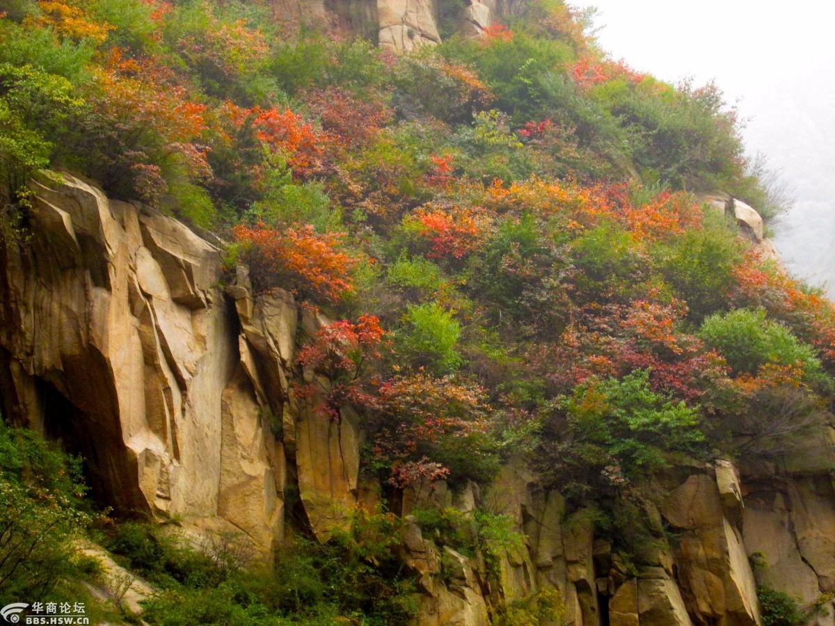 骑行道沟峪赏秋景
