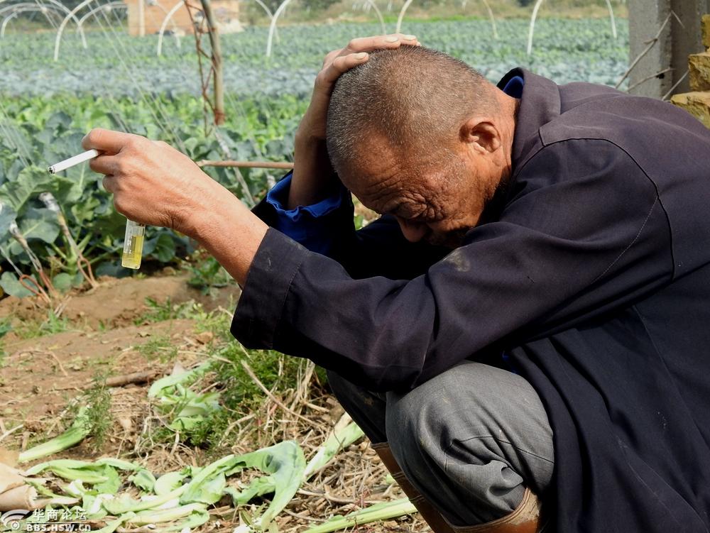 蹲在地头抽烟休息的老菜农