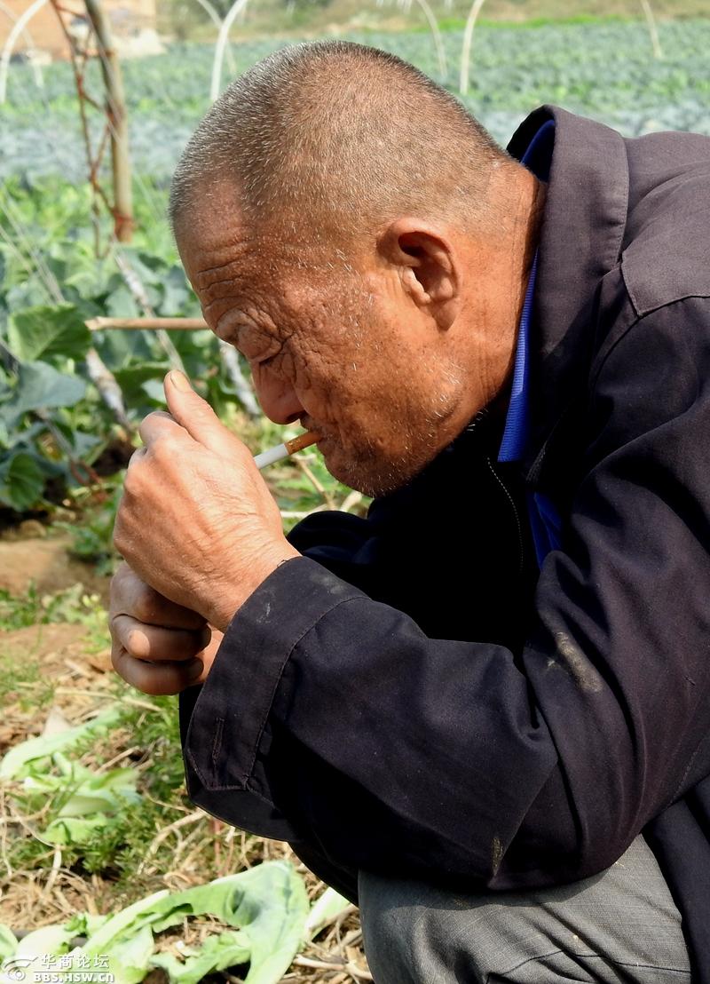 蹲在地头抽烟休息的老菜农