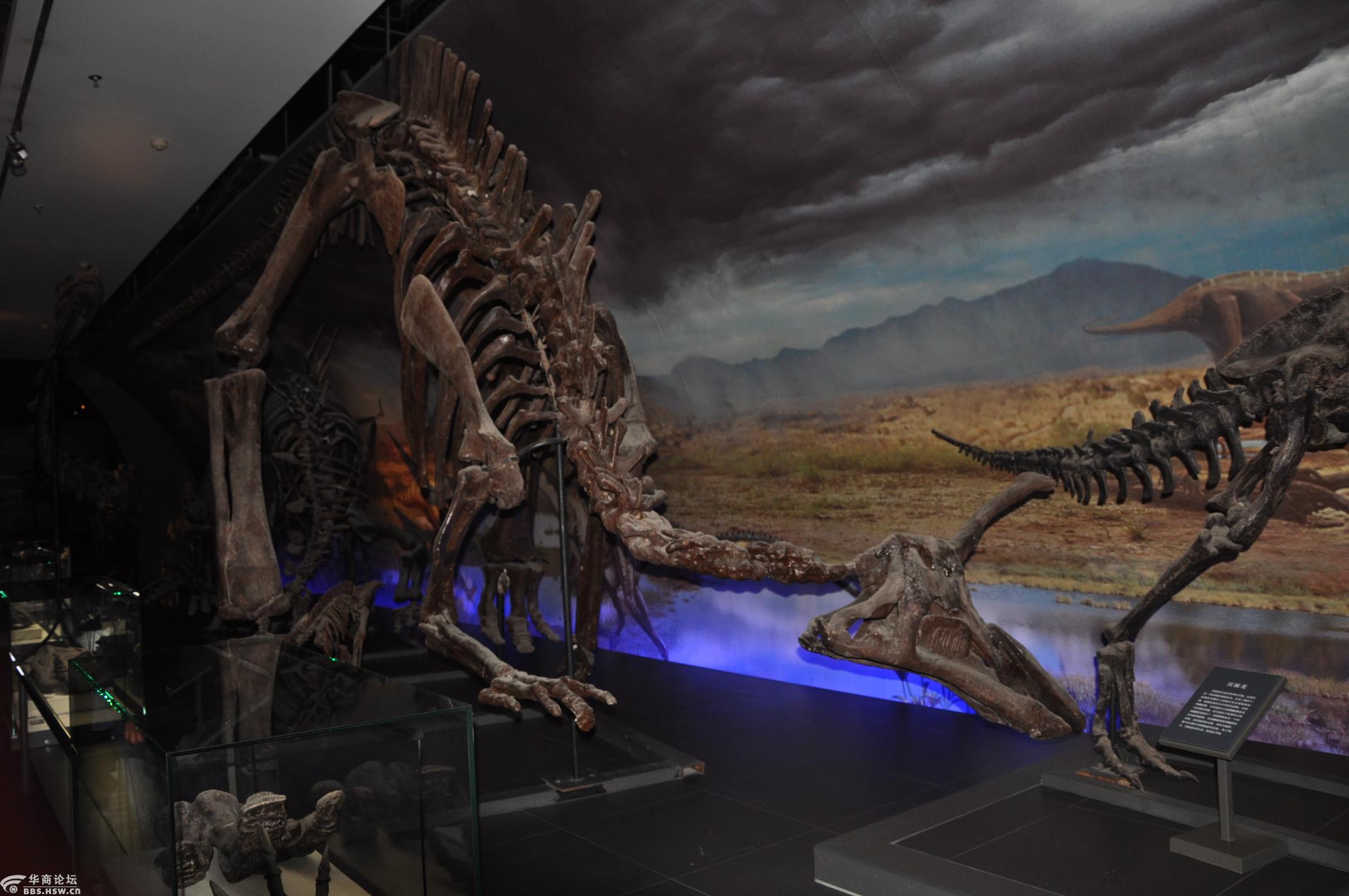 宁夏石嘴山博物馆参观记