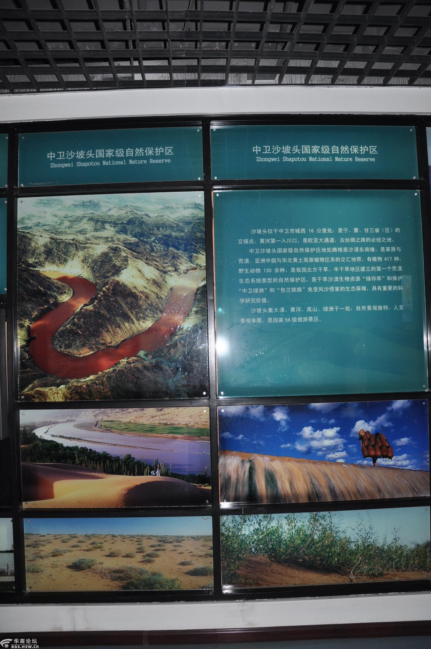 宁夏石嘴山市平罗县西大滩沙湖里的宁夏湿地博物馆中卫沙坡头国家级