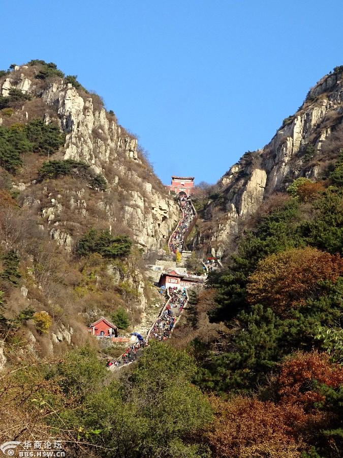重阳节登高泰山寥廓江天万里霜