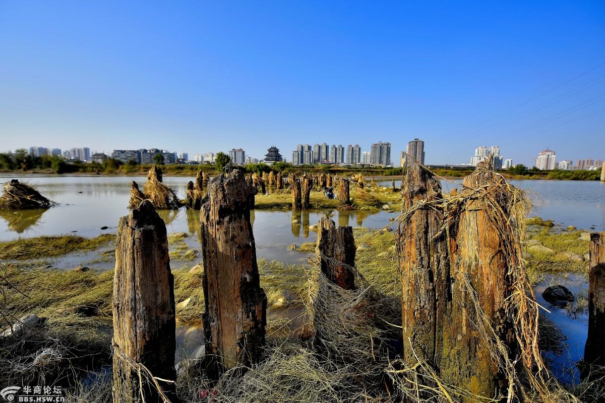 令人叹为观止的咸阳古渡遗址