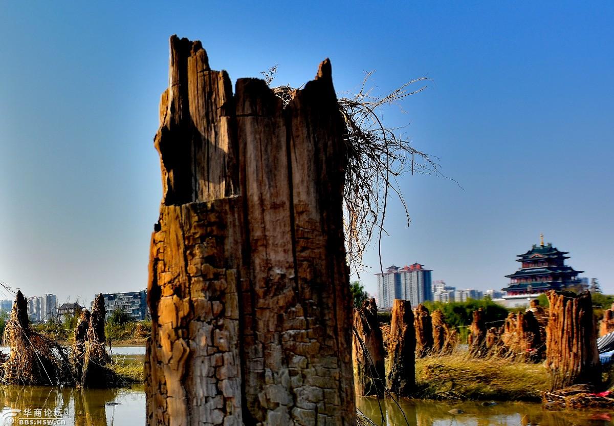 令人叹为观止的咸阳古渡遗址