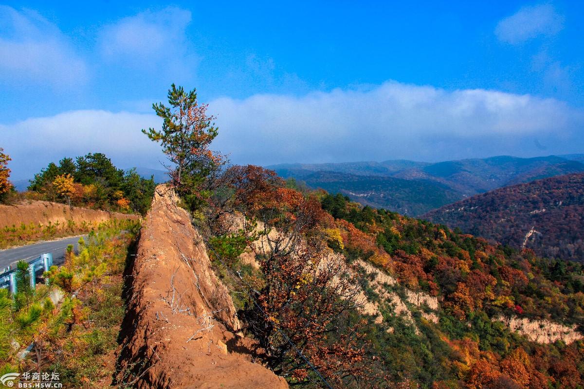 美丽的子午岭秋色