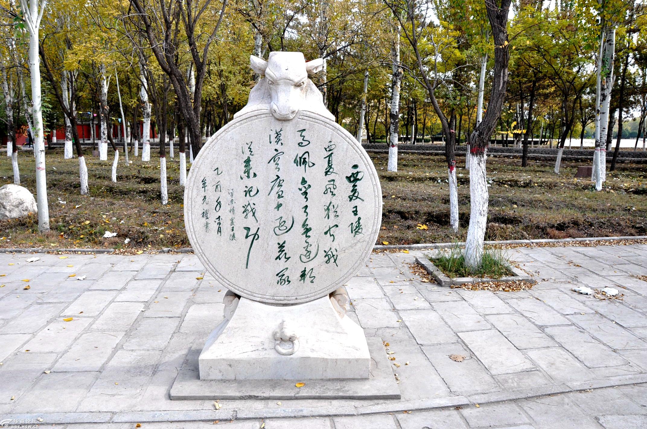 西夏王陵超霸气,碑林书法阴阳文!