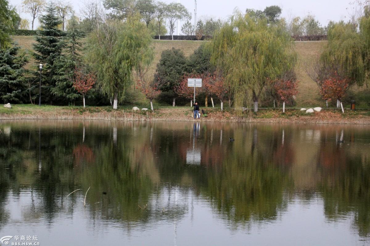 西安:渭河生态景观区的初冬(组图)