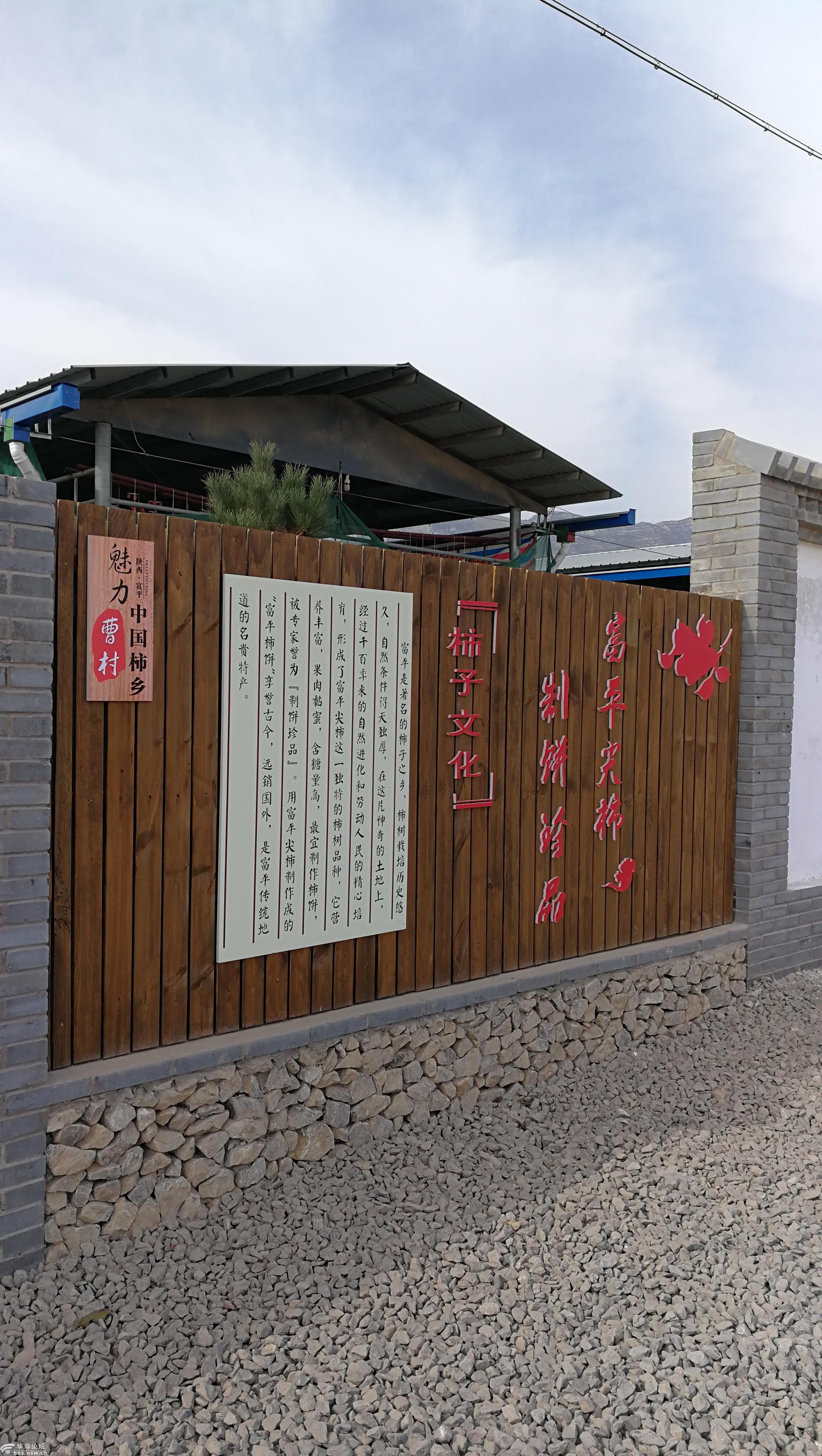 我亲爱的家乡之富平县曹村镇马坡村树上挂满红灯笼