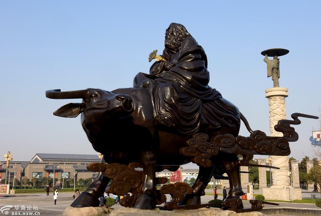 楼观台2500年前老子亲植银杏现已满身尽披黄金甲甚是富贵亮眼