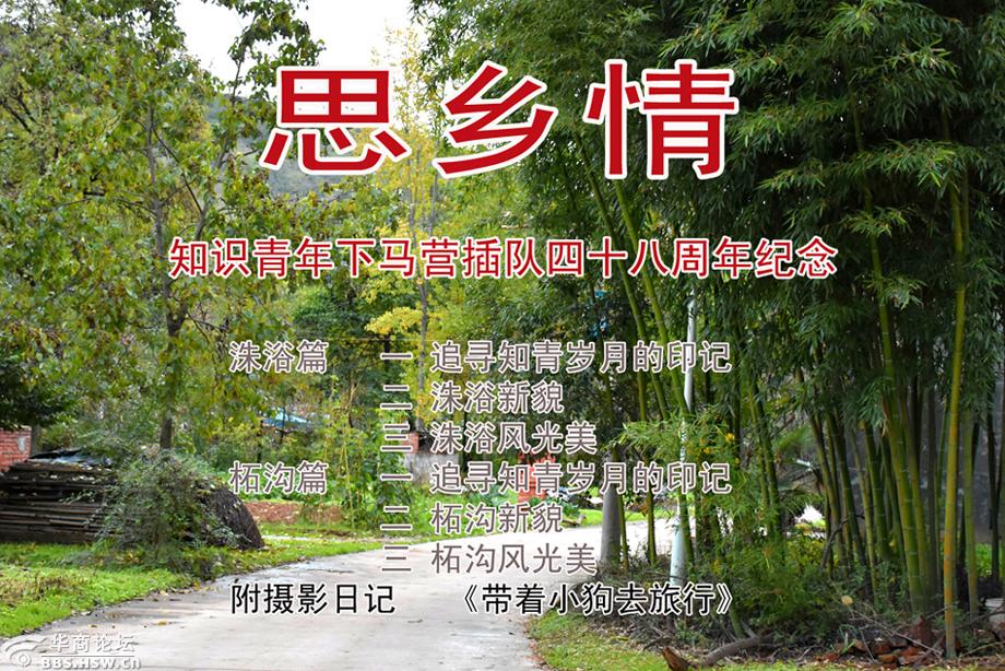 思乡情 附摄影日记 《带着小狗去旅行》