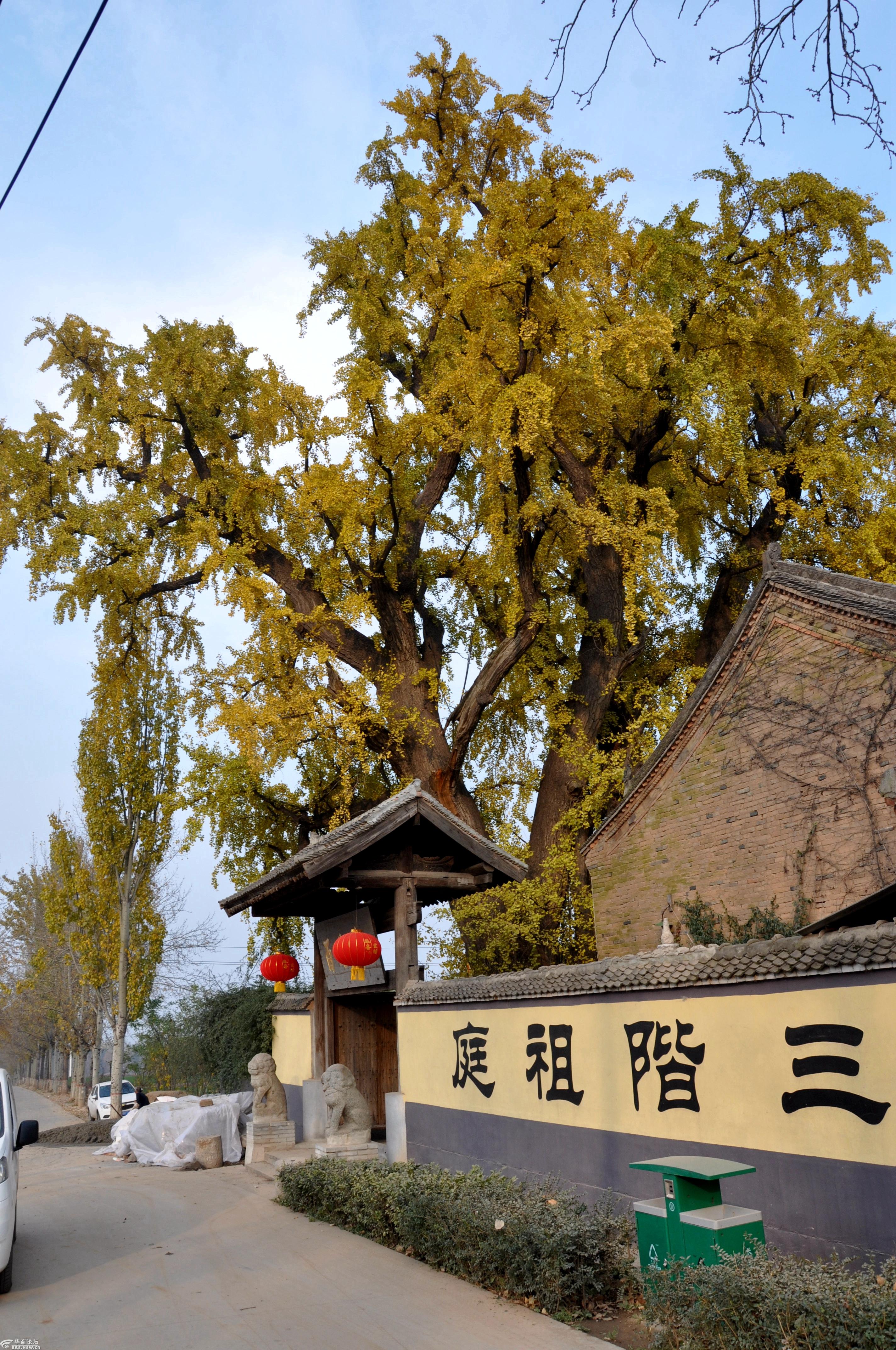 2017-12-01 20:55  西安市长安区子午街办天子口村"三阶祖庭"百塔寺