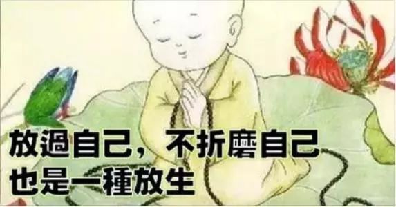 又翻拍了！两位新晋小鲜肉你更看好谁？