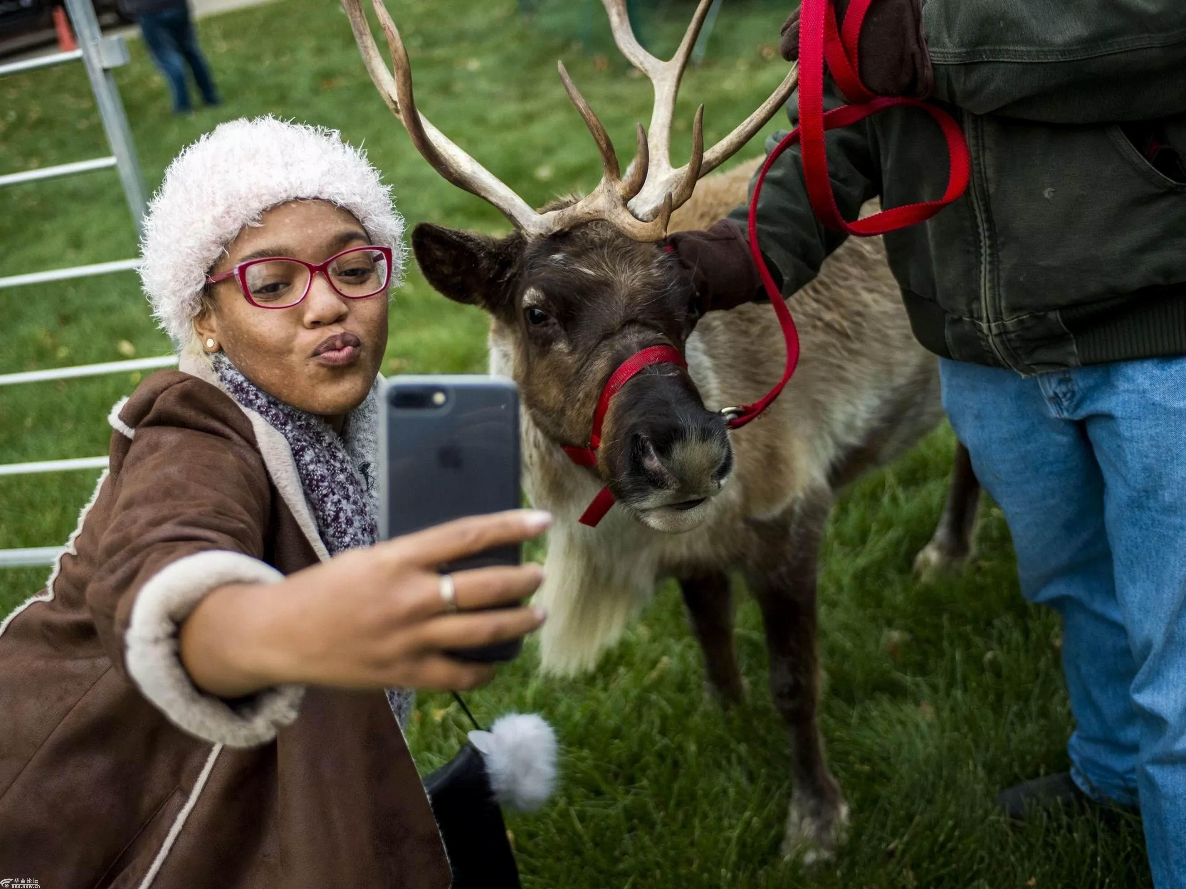 与野生动物的合影