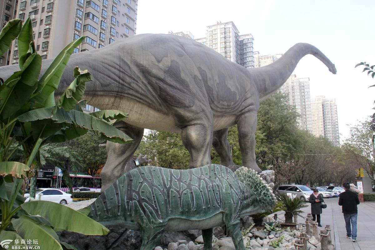 陕西自然博物馆印象组图