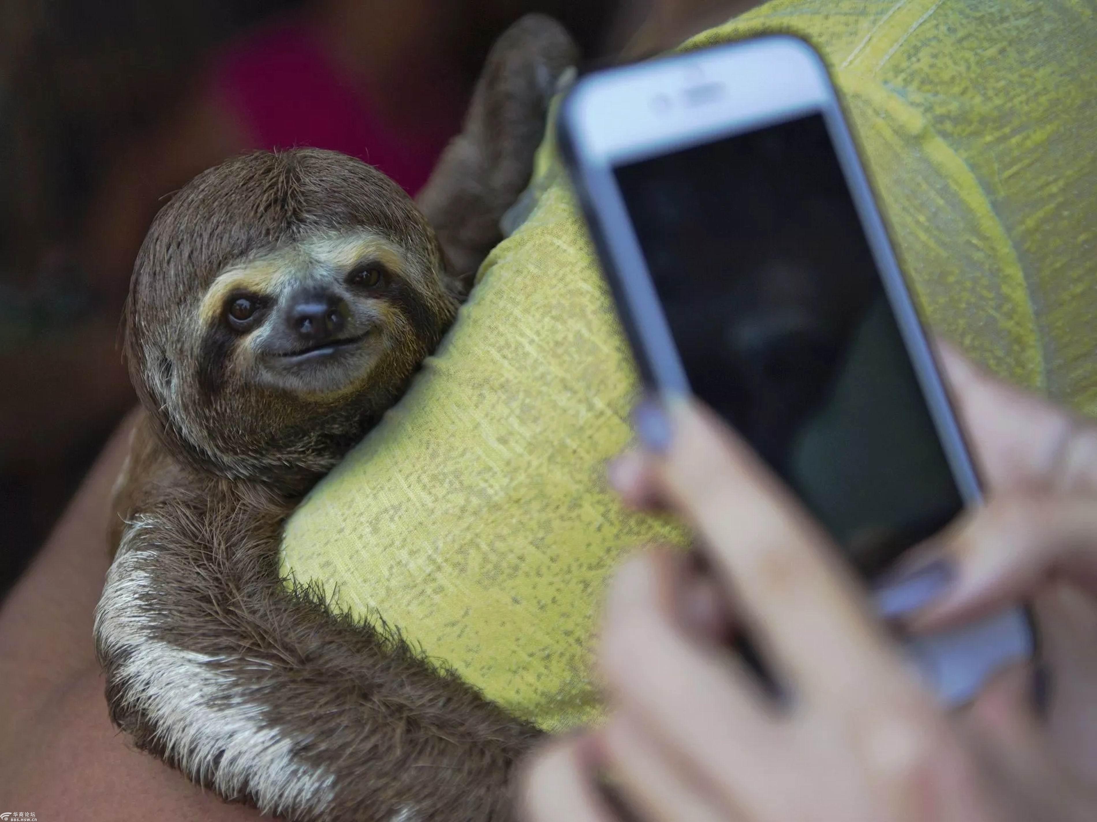 与野生动物的合影
