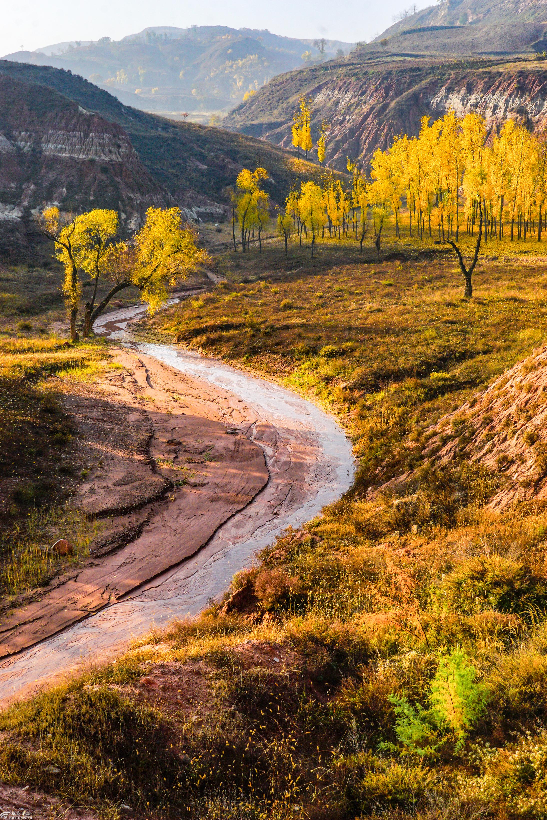 千年古镇黄甫镇沿途风景