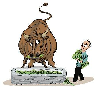 陈炉余韵|梦中的老黄牛——雷焕