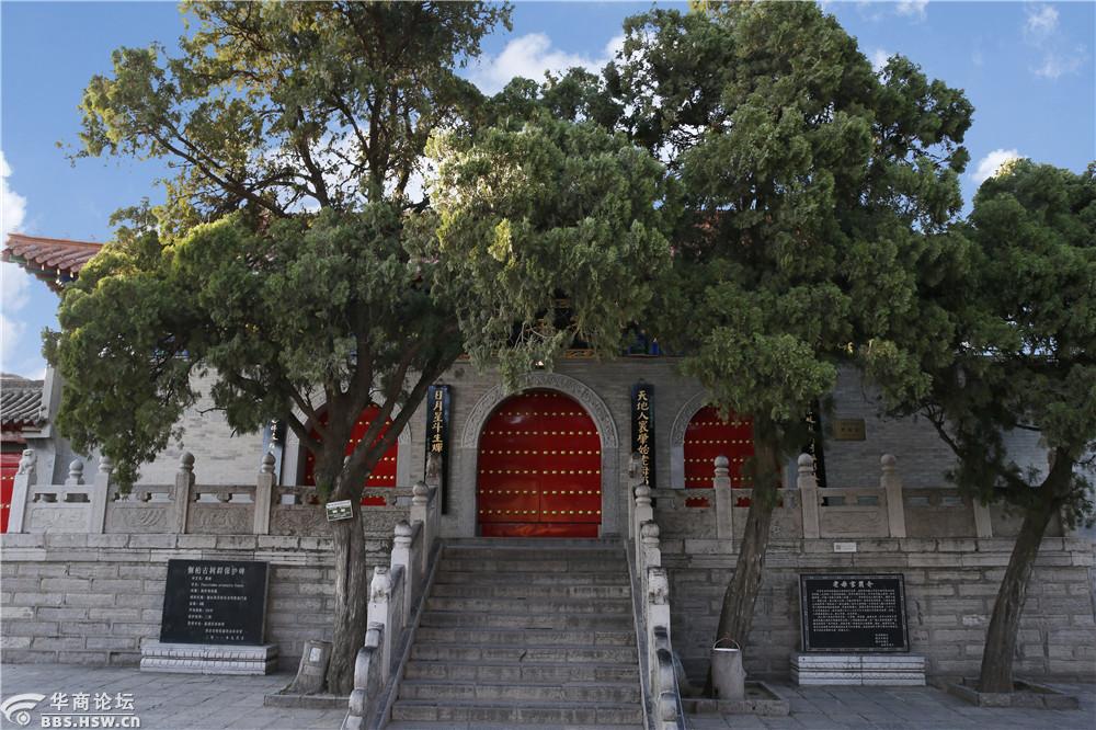 微电影《骊山上的道观》-西安论坛-华商论坛