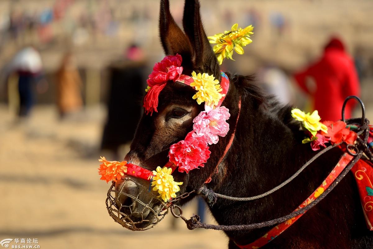 陕西省山西省壶口冰瀑