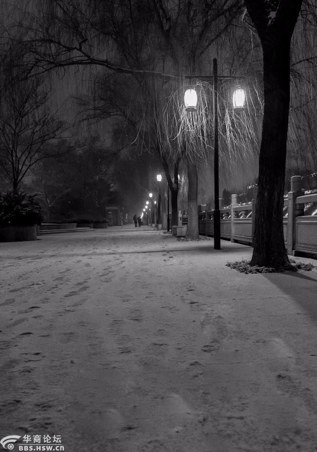 夜色雪景